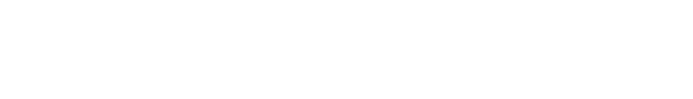 Ecom Akademija